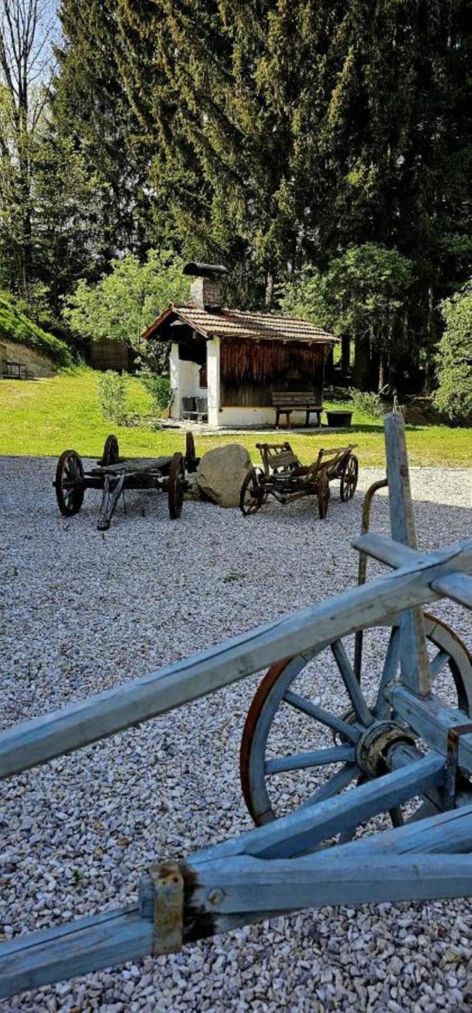 Chalet Waldstadl, Andrea's Woidhaisl Arnbruck Exteriér fotografie